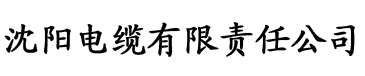 91香蕉视频看片电缆厂logo